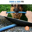 Ampvolts Manguera de Alta Presión 10M Anti-Torsión para Bosch AQT Aquatak – 250 Bar / 3600 PSI Manguera de Repuesto Flexible para Hidrolimpiadora Jet Wash, Conexión Rápida, Uso Todo Clima, Azul - 3