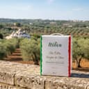 Itoliva - Organic 100% Italian Extra Virgin Olive Oil, cold extracted, 5 L, Monocultivar Ogliarola, Light Fruity taste - 3