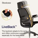 Steelcase Series 1 Ergonomic Office Chair With LiveBack Lumbar Support, 4D Armests, Adjustable Headrest Black/Black; Made in Europe - 5
