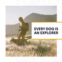 Ruffwear All-Day Dog Front Range Harness, Grey (Twilight Grey), XXS - 9