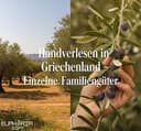Euphoria Gift - Premium Qualität Olivenöl | Natives Extra aus Griechenland | Kaltgepresst |Neue Ernte 2025-2026|Erste Güteklasse|Handgepflückte Oliven|5 Liter Kanister - 5