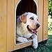 Ferplast DOMUS XL Casetta per Cani in Legno FSC - Tetto Apribile con Chiusura, Impermeabile & Anti-UV - Griglia Aerazione - Porta Antimorso in Alluminio - Piedi Isolanti - 121 x 78 x h 78,5 cm - 4