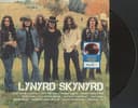 Lynyrd Skynyrd Icon - Exclusiva edición limitada Root Beer vinilo de color marrón - 4