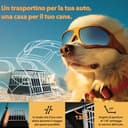 CADOCA® Trasportino Cani XXL 97x90x70cm Richiudibile Alluminio Impermeabile Box Auto Cagnolini - 4