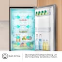 Hisense RB327N4ADD Kühl-Gefrier-Kombination, EEK D, Total NoFrost, wechselbarer Türanschlag, Flaschengitter, 171 Liter Kühlteil, 85 Liter Gefrierteil, Inox Look - 5