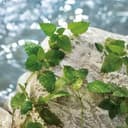 DOLCE GABBANA LIGHT BLUE EAU DE TOILETTE 40ML VAPORIZADOR - 5