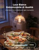 Govee Lampadina Intelligente Edison E27, RGBWW Lampada Dimmabile ST64, Compatibile con Matter e Google Assistant, 500lm, 16 Milioni di Colori, Lampadina a Filamento in Stile Vintage, Confezione da 2 - 7