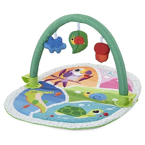 Chicco Next2Me 3-in-1 Babygym - Zacht Gewatteerd Speelkleed - Afneembare Speelboog - 2 Hangers & 1 Rammelaar - Inclusief Bedpaneel - 0+ Maanden - Kleurrijk - 80 x 60 cm