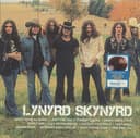 Lynyrd Skynyrd Icon - Exclusiva edición limitada Root Beer vinilo de color marrón - 1