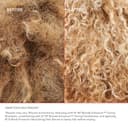 Olaplex Nº. 4P Blonde Enhancer Purple Toning Shampoo: Neutralizes Brassiness & Strengthen | Repairs Damages & Hydrates Hair| For Coily, Curly, Straight, and Wavy, 250 mL / 8.5 Fl. Oz. - 5