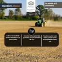 Wizebite's Choice - Auténtico Arroz Carnaroli Clásico Pozzi | 1 Kg | Top Italian Food - Gambero Rosso | 100% Italiano | Arroz Joven | Para Risotto y Platos Refinados | Riso Carnaroli - 5