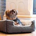 Ferplast Kennel for Dogs And Catssweetie 55, 55 x 48 x 18 cm, White/Grey - 3