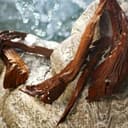 Dolce & Gabana Light Blue Eau de Toilette para mujeres - 100 ml - 6