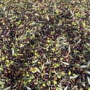 Oleum Comitis - Extra Virgin Olive Oil 100% Italian Cold Pressed - 5 l (169 fl oz) Bag in Box - 5