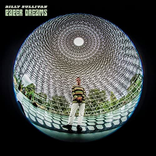 PAPER DREAMS (SILVER) [VINYL] [Vinyl LP]
