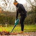 Bosch 06008A0501 ALB 18 LI Soplador a batería 2,5 Ah, 18 V, Negro/Verde - 5