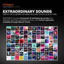 ROLAND FANTOM-08 WEIGHTED-ACTION SYNTHESIZER KEYBOARD – 88-Note Weighted Keyboard & Rpu-3 Keyboard Triple Pedal Unit, A Grand Piano Pedaling Experience - 3