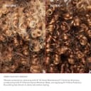 Olaplex Nº. 4C Bond Maintenance Clarifying Shampoo: Removes Buildup & Restores Vibrant Hair | Deep Cleanses without Stripping | For Coily, Curly, Straight, and Wavy, 8.5 fl oz - 5