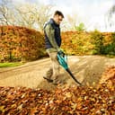 Bosch 06008A0501 ALB 18 LI Soplador a batería 2,5 Ah, 18 V, Negro/Verde - 6