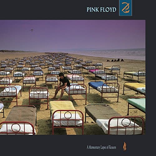 Momentary Lapse of Reason [Vinilo]