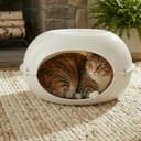 URBNLIVING Outdoor and indoor Hooded Pet Kennel Shelter – Windproof Plastic Crate Bed House for Cats, Kittens & Small Dogs (White) - 5