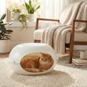 URBNLIVING Outdoor and indoor Hooded Pet Kennel Shelter – Windproof Plastic Crate Bed House for Cats, Kittens & Small Dogs (White) - 6