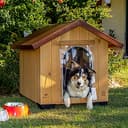 Ferplast Hundehütte XXL große Hunde Domus Maxi aus FSC-Holz, Hundehaus Outdoor Wetterfest, Isolierende Kunststofffüße, Tür mit Bissschutzkante aus Aluminium, 108 x 130 x h 103 cm. - 2