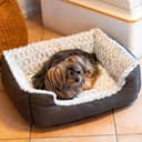 Ferplast Kennel for Dogs And Catssweetie 55, 55 x 48 x 18 cm, White/Grey - 4