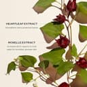 Shiseido Ultimune Power Infusing Concentrate 3.0, 30 ml - 8